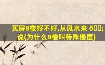 买房8楼好不好,从风水来 🐡 说(为什么8楼叫特殊楼层)